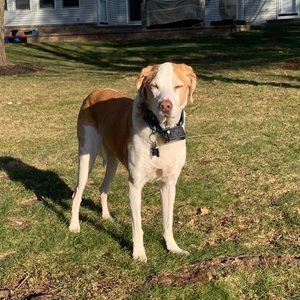 Meet your Posher, Aileen